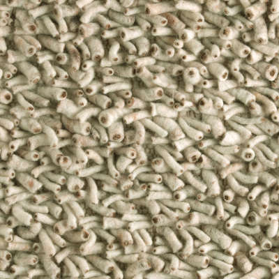 Freistil Sofa 141 leer